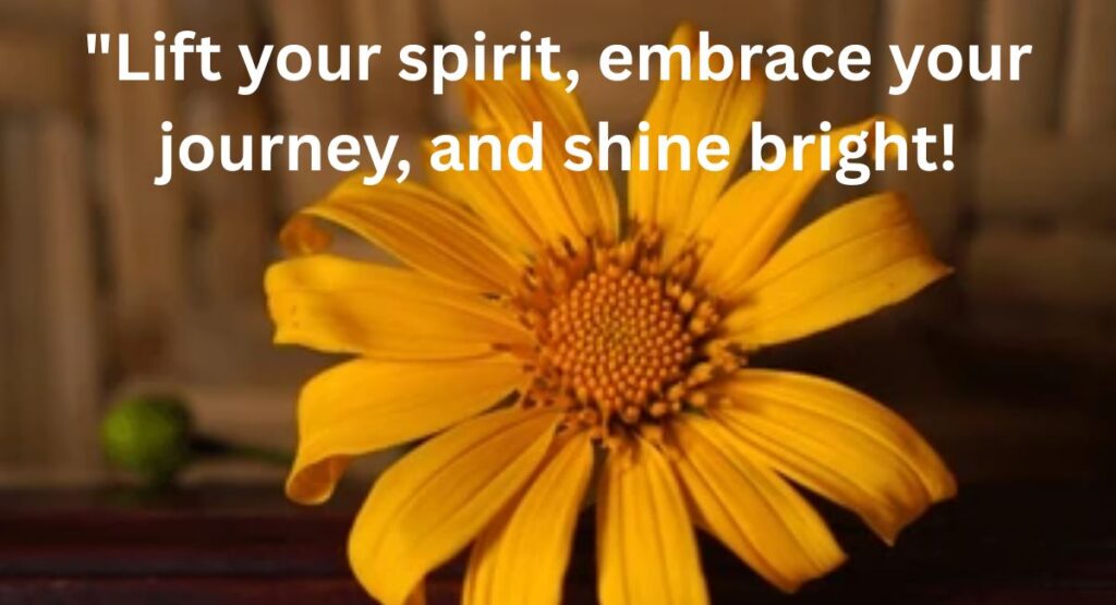 Inspirational Messages: Uplifting the Soul
